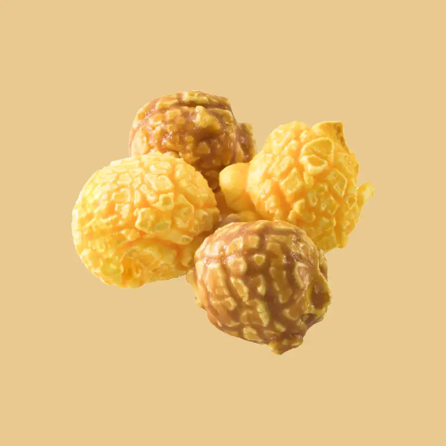 【4名様向け】LBAG ヒルバレーミックス